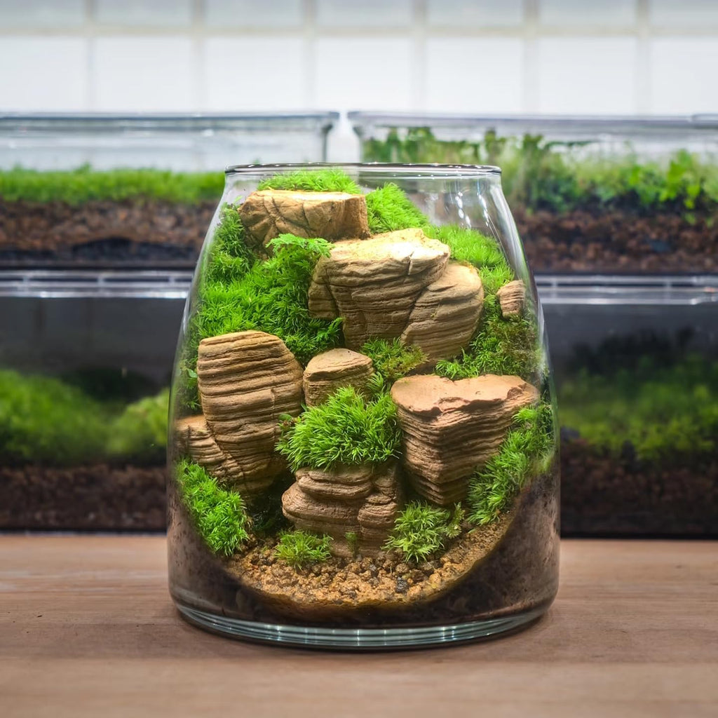 Natural Rocks Pagoda Stones 1-2 Inches Decorative Stones for Fairy Gardens,Miniature Landscaping,Bonsai,DIY Crafts,Aquariums & Reptile Terrariums-1lb
