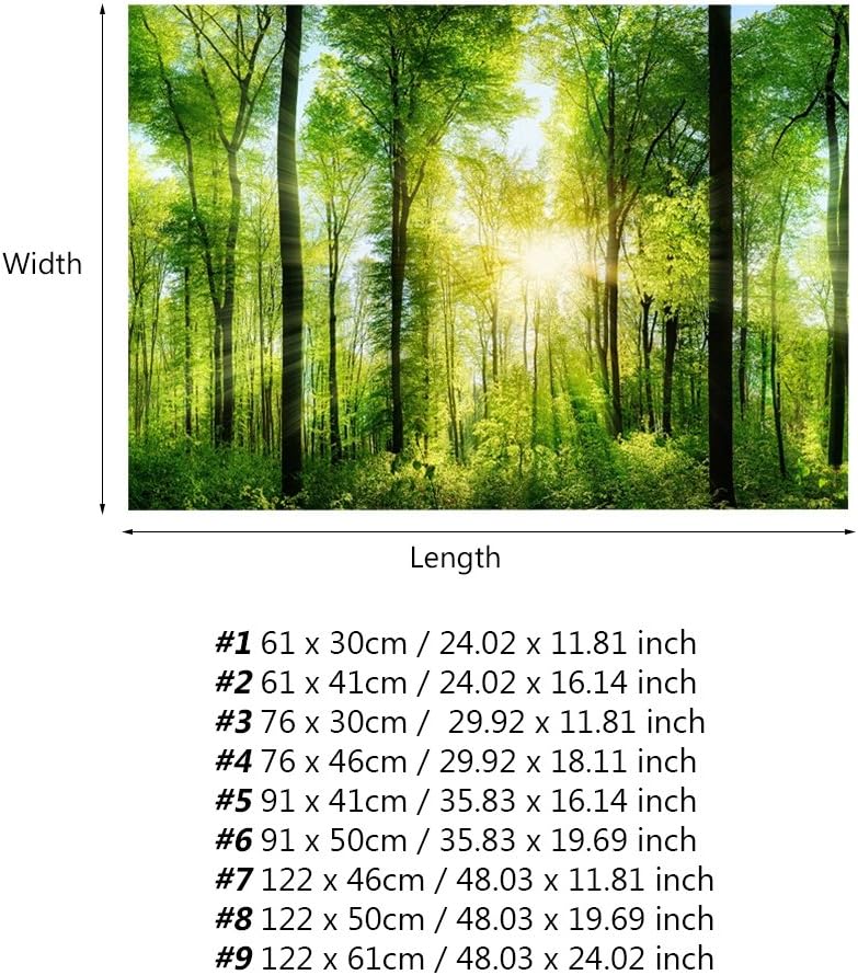 3D Effect Adhesive Forest Poster for Aquarium Fish Tank Decoration - Poster for Aquarium Poster for Fish Tank Easy Peel and Stick (61 * 41cm)