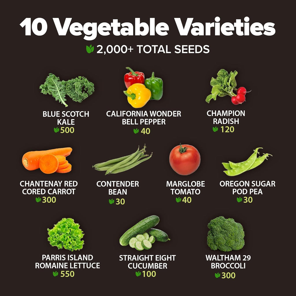 HOME GROWN Premium USA-Grown Vegetable Seeds - 10 Variety Pack with 2,000+ Non-GMO Heirloom Seeds for Planting - Garden Vegetable Seeds for Indoor & Outdoor Planting - Survival Seed Vault Kit