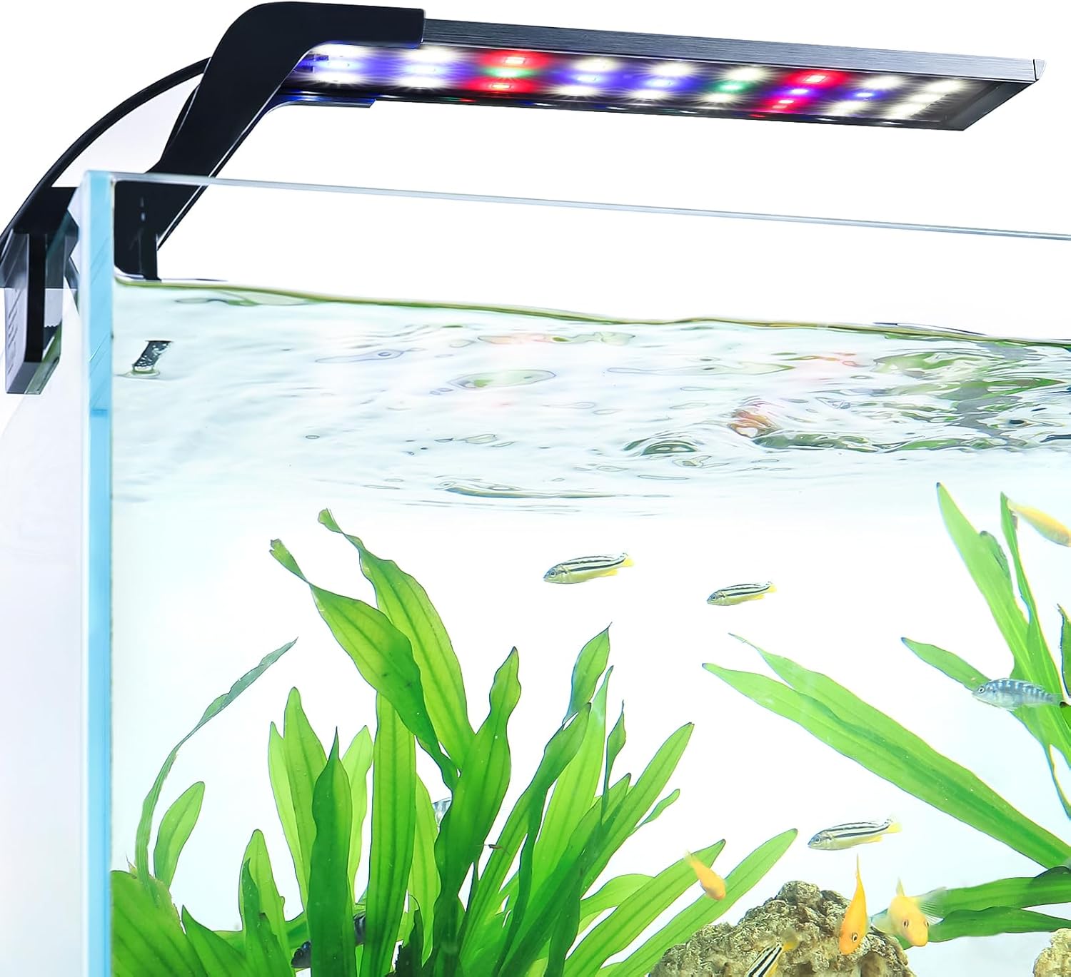 AQQA Aquarium Clip On Light,Fish Tank Full Spectrum LED Light,24/7 Sunrise Sunrise Mode+10 Adjustable Brightness Levels+Detachable Bracket+RGB LEDs + USB and Adapter,for Freshwater (14W)