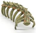 Aquarium Skull Animal Skeletons, Reptile Tank Accessories, Fish Tank Decorations for Amphibians, Betta Fish, Shrimp, Hermit Crab, Leopard Gecko