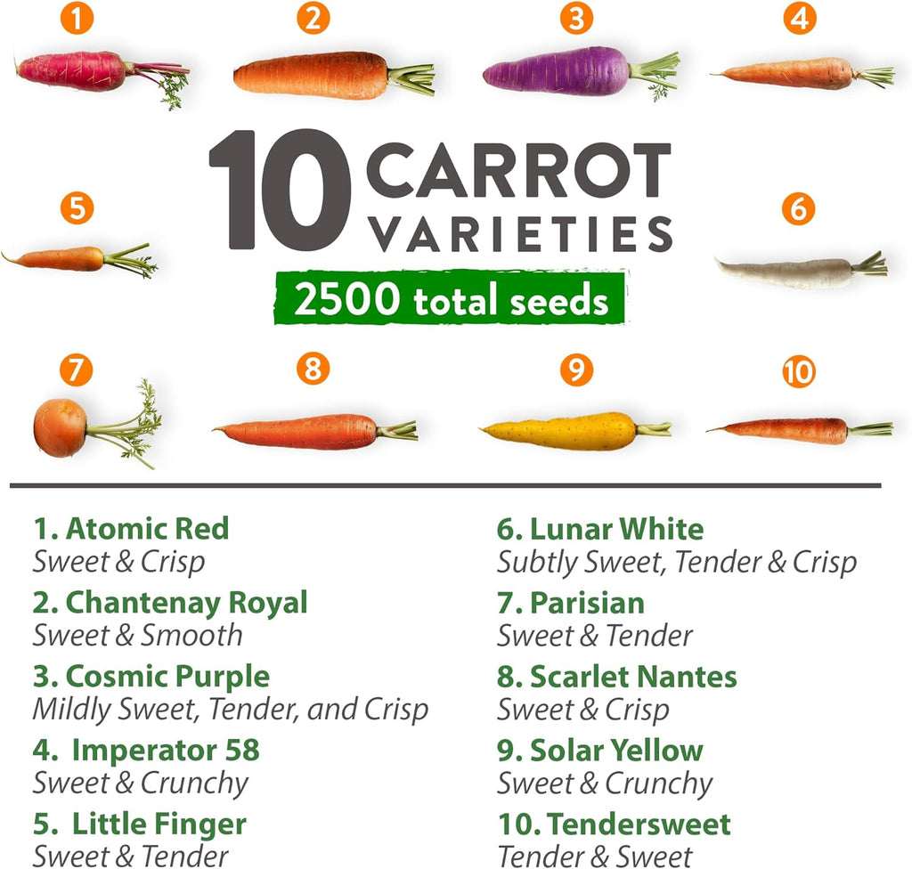 HOME GROWN Rainbow Carrot Seeds – 2500+ Heirloom Seeds (10 Varieties) – High Germination, Vegetable Seeds for Planting Indoors or Outdoor Home Garden