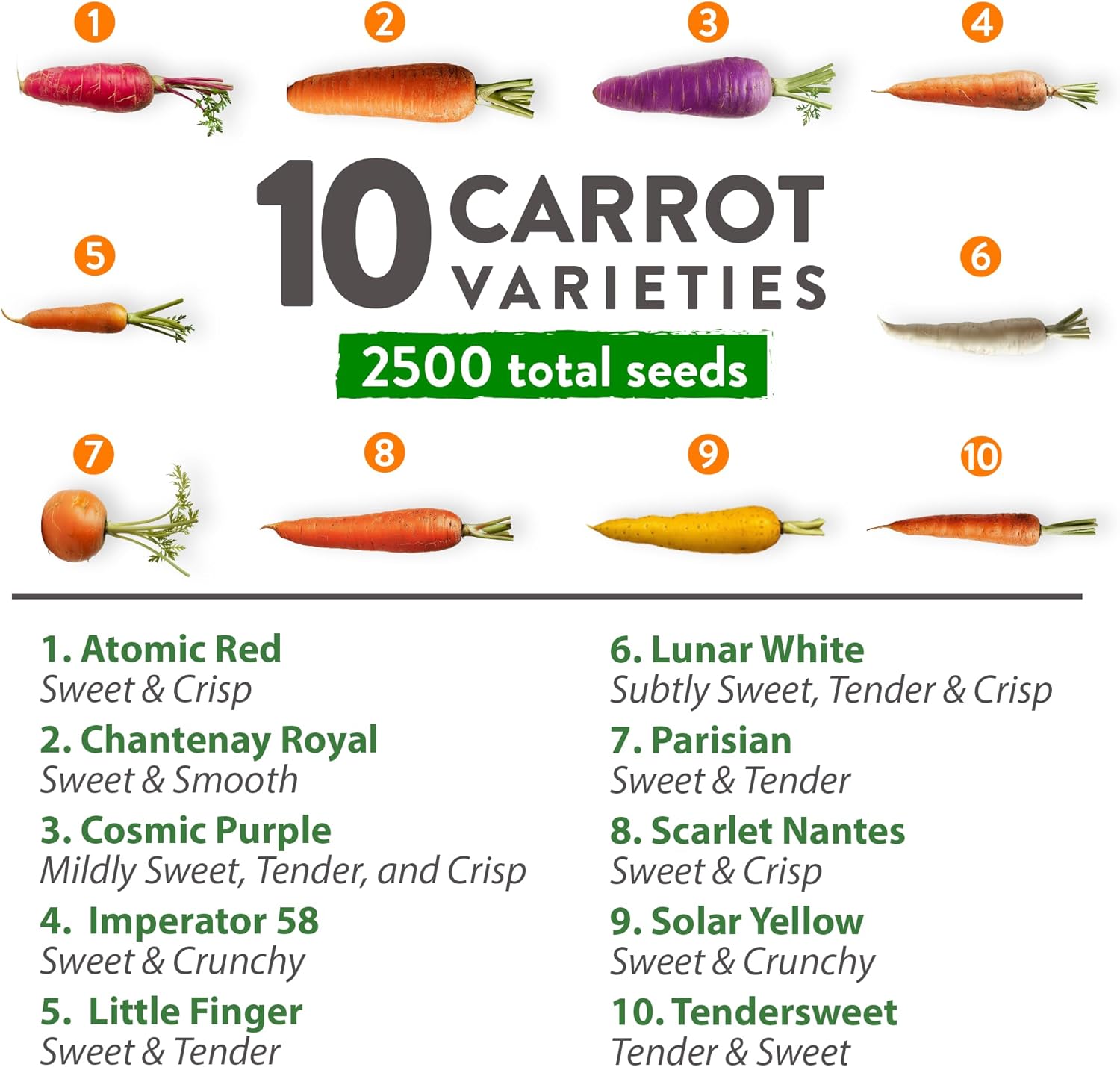 HOME GROWN Rainbow Carrot Seeds – 2500+ Heirloom Seeds (10 Varieties) – High Germination, Vegetable Seeds for Planting Indoors or Outdoor Home Garden