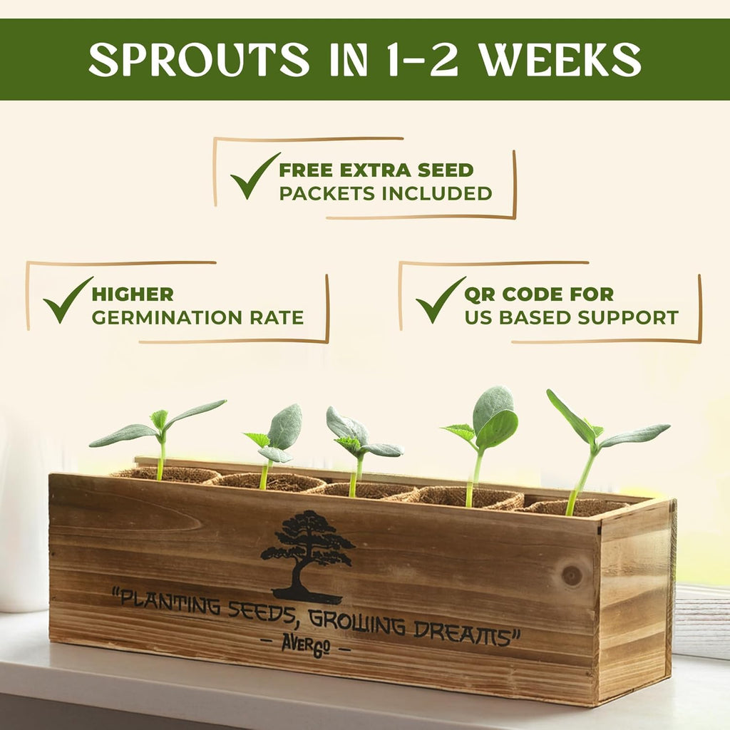AVERGO Bonsai Tree Kit for Beginners – 5X Unique Japanese Bonzai Trees | Complete Indoor Bonsai Starter Kit for Growing Bonsai Plants with Tools & Planters – DIY Gardening Gifts for Women & Men