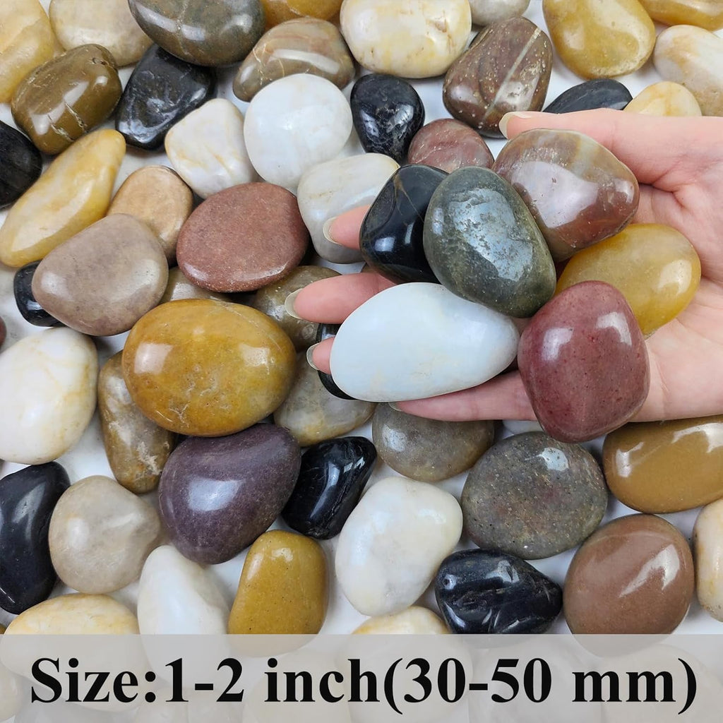 2 lbs Pebbles for Plants, 1-2 inch Polished River Rocks for Plants Indoor Aquarium Terrarium, Stones for Planters Vase Landscaping and Outdoor Yard Decorative Stones