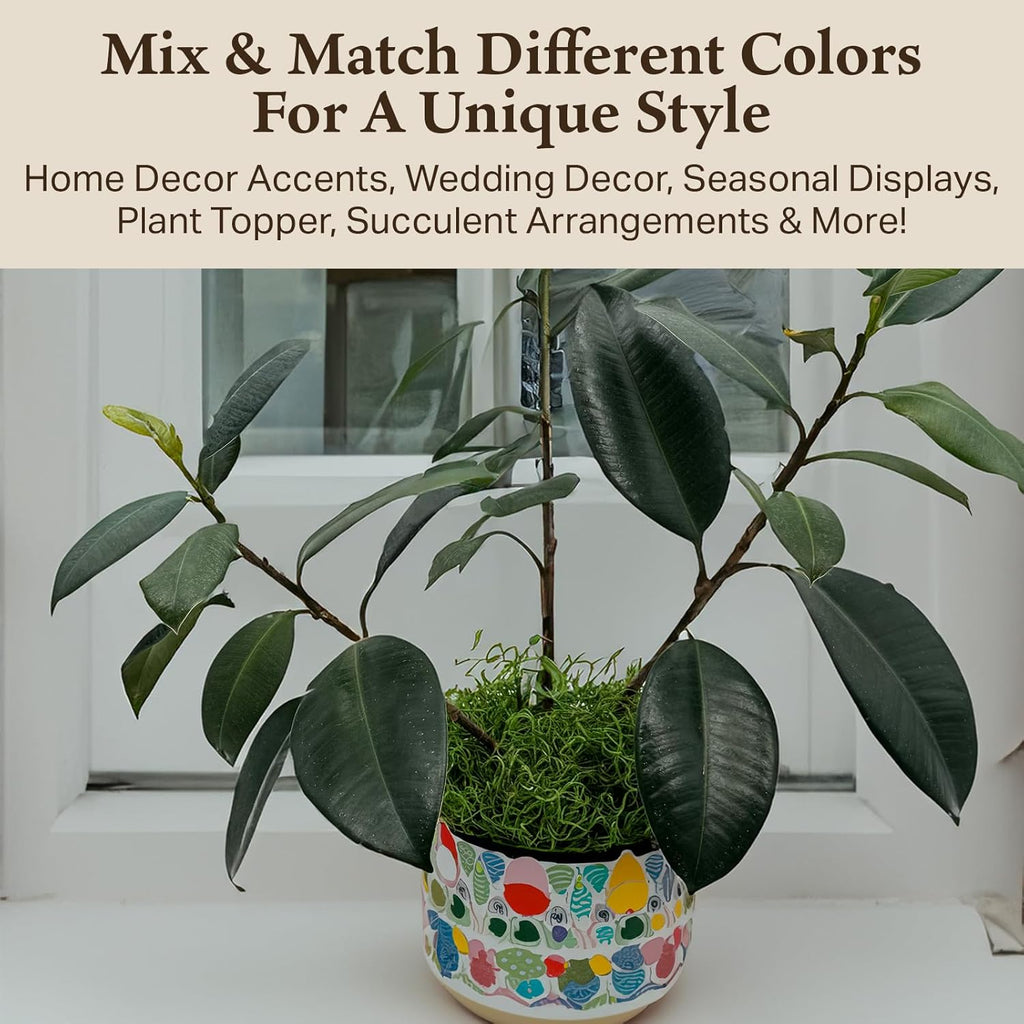 Preserved Spanish Moss - Decorative Moss - Dried Moss for Crafts, Home Decor, Art, Design & DIY Projects - for Indoor Use - Green Apple - Standard Box - Covers 10-12 sq. ft.