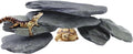 7/12 Pounds Natural Stream Slab Stones,Dragon-Rock Stone,Seiryu Stones Perfect for Aquariums,Fish Tanks,Terrariums,Landscaping Model,Reptile Rest Rock (Stream Slab Stones, 12 LB)