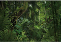 12x8ft Jungle Forest Photography Backdrop for Outdoorsy Camping Theme Party Background Spring Mysterious Rainforest Jungle Forest Tree Natural Scenery Kids Adult Wedding Photo Studio Props