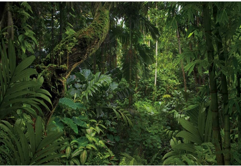 15x10ft Jungle Forest Photography Backdrop for Outdoorsy Camping Theme Party Background Spring Mysterious Rainforest Jungle Forest Tree Natural Scenery Kids Adult Wedding Photo Studio Props