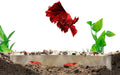 Shrimp Breeding Protector | Shrimp Breeding Cave Aquarium Tunnel | CTWPets (White)