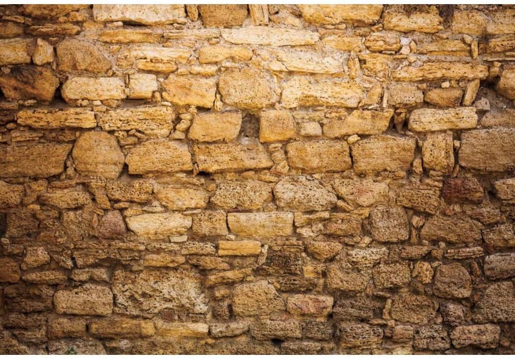 CSFOTO 15x10ft Western Wall Backdrop Ancient Jerusalem Buildings Photo Background Israel Background Jerusalem Wailing Wall Backdrop Church Event Decoration Props