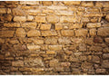 CSFOTO 15x10ft Western Wall Backdrop Ancient Jerusalem Buildings Photo Background Israel Background Jerusalem Wailing Wall Backdrop Church Event Decoration Props
