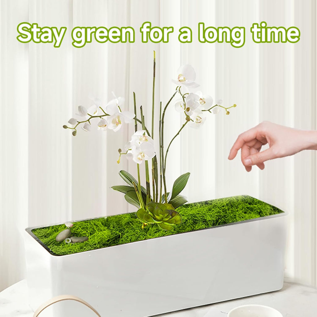 Fake Green Moss for Potted Plants Indoor, 5.3oz Artificial Moss for Crafts, Faux Moss Decor for Fairy Garden, DIY Decorative, Model Making, Walls, Glass Containers, Home