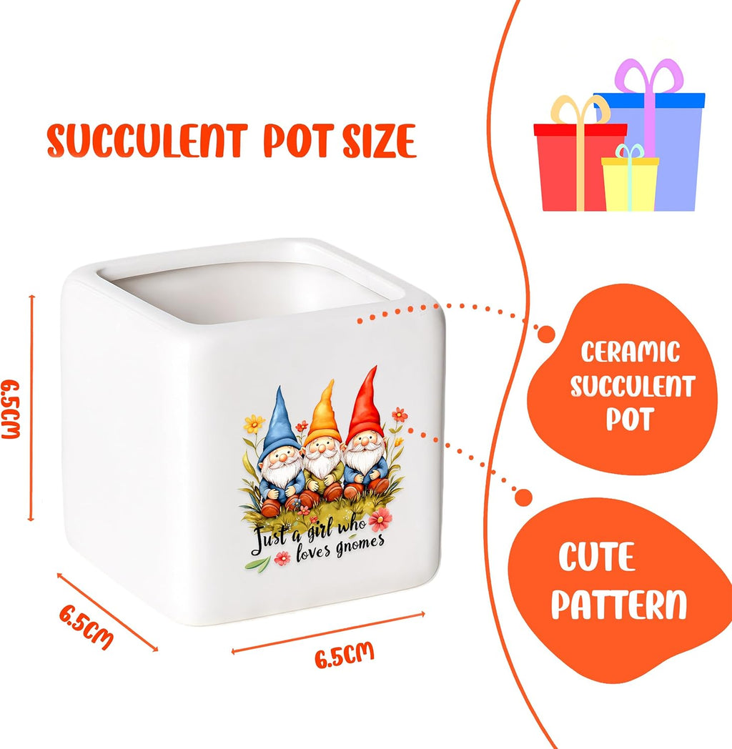 Gnomes Succulent Planter Flower Plant Pot Small, Gifts for Women Teens Girls Kids, Gnomes Lovers Themed Stuff Accessories Things Decor Merch, Home Office Table Desk Decoration!