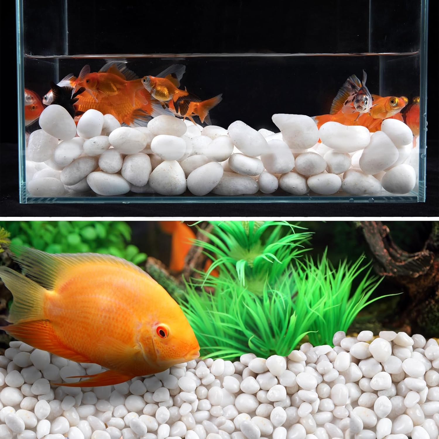 20lb White River Rock- High Polished Pebbles for Indoor Plants- Decorative Stones for Aquarium Fish Tank - White Rocks for Outdoor Garden Landscaping - 0.3"-0.8"