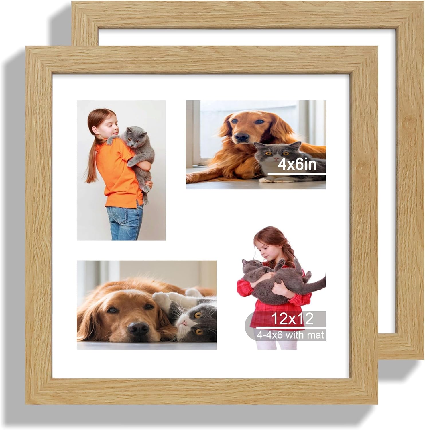 12x12 Picture Frame Set of 2, Natural Oak Wood Frame with Glass Collage Frame, Display Pictures 4-4x6 With Mat or 12 x 12 Without Mat, Square Photo Frames Collage for Wall Hanging or Tabletop