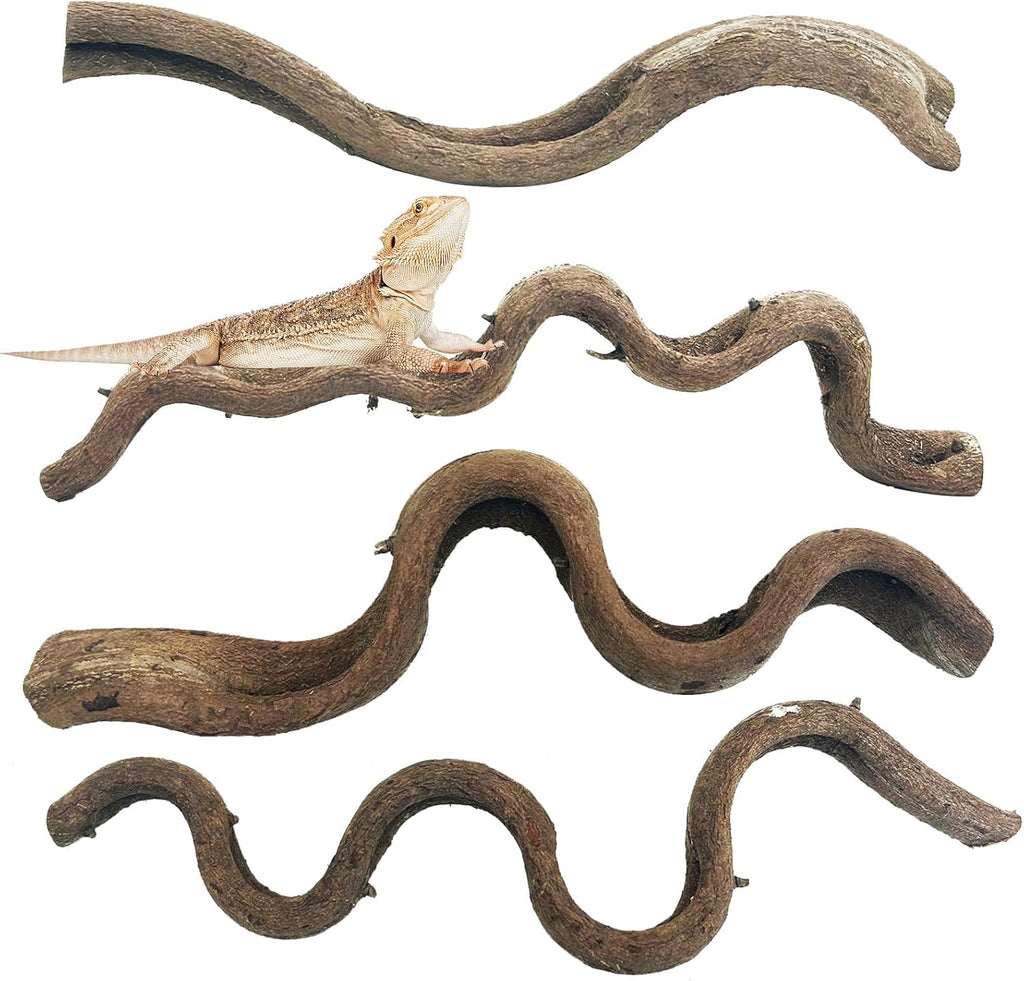 Reptile Branches for Climbing Natural Snake Climb Branch 4 Pack Wood Forest Tree Trunk Decor Lizard Habitat Terrarium Decorations for Bearded Dragon Geckos Chameleon Frog
