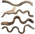Reptile Branches for Climbing Natural Snake Climb Branch 4 Pack Wood Forest Tree Trunk Decor Lizard Habitat Terrarium Decorations for Bearded Dragon Geckos Chameleon Frog
