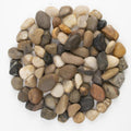 40LB Mixed Stones Pebbles River Rocks, Natural Beach Pebbles,0.5-1 Inch Decorative River Rocks for Landscaping Garden Paving Plant Rocks Crafting Walkways and Outdoor Decorative Stone