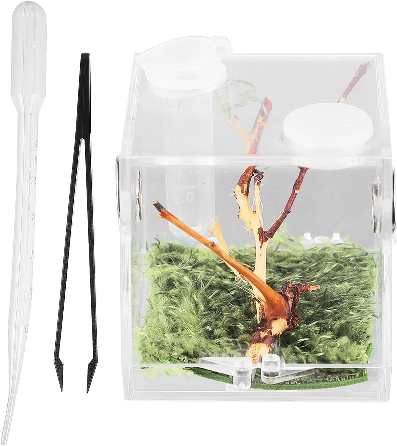 COHEALI Reptile Breeding Box Small Portable Acrylic Spider Terrarium with Dropper and Forceps Transparent Moisture- Enclosure for Small Crawling Insects and Jumping Pets