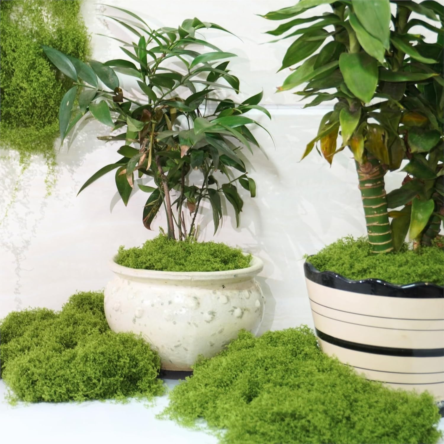 Jabrand Fake Moss for Plants, 5OZ Artificial Moss Faux Moss for Crafts Table Centerpieces Indoor and Outdoor Potted Plants Landscaping Gardening Decor