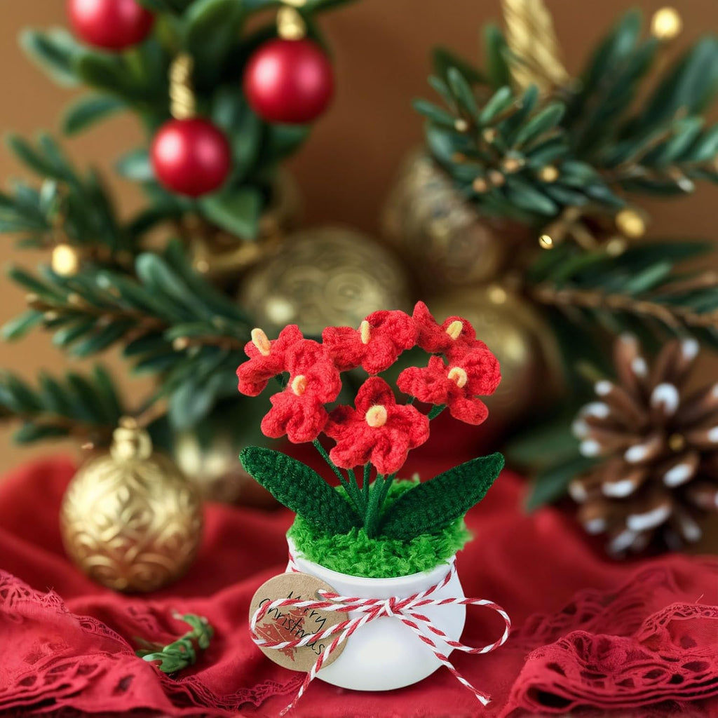 Crochet Flowers Cute Little Potted Flower, Christmas Decor, Birthday Gifts for Women, Mother's Day, Teacher’s Day, Graduation, Anniversary, Home Office Decoration (Red Myosotis)