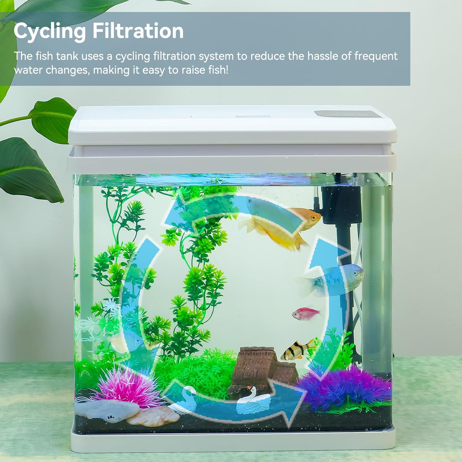 6 Gallon Fish Tank Kit with Auto On/Off Timer, 7-Color LED Light, Dimmable Brightness, Ultra Clear Glass & Effective Filtration – Great for Bettas