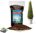 GARDENERA Premium Juniper Potting Soil Mix - Perfect Balance of Nutrients, Drainage, and Aeration for Healthy Juniper Trees - 2 Quart