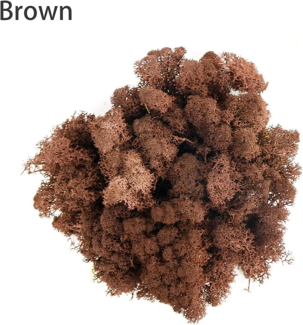 Amoueterno Preserved Moss 4 Color Reindeer Moss,Total 14OZ Each Color 3.5OZ, Natural Real Green Moss DIY Kit Moss Crafts Art Wall Decor Florist Decor Yellow/Light Yellow/Brown/Orange Brown