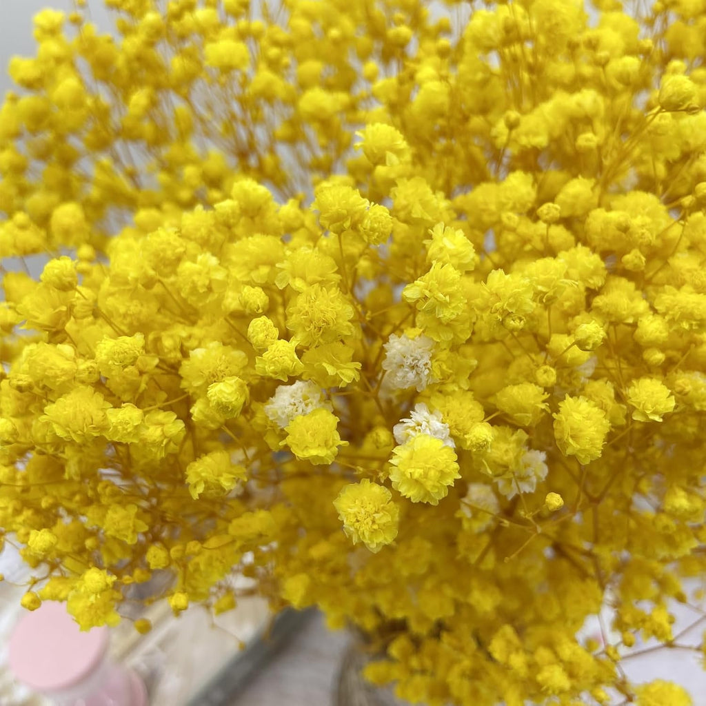 Preserved Baby's Breath, 100% Natrual Gypsophila Long Lasting Flowers for Vase Arrangements Home Decoration Photo Props Parties and Weddings, DIY Décor-Yellow