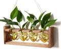 Plant Propagation Stations Heart Plant Terrarium Kit Gift for Women Plant Lover Glass Vases
