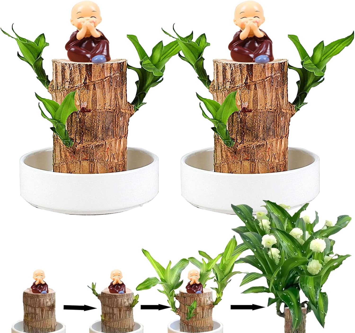 Brazilian Lucky Wood Plant Set, Natural Fortune-Bringing Ornaments Suitable for Office Desks, Desks, and Bedrooms (Purple Monk)