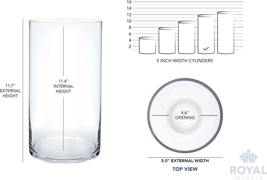 Royal Imports Flower Glass Vase Decorative Centerpiece for Home or Wedding - Cylinder Shape, 12" Tall, 5" Opening, Clear