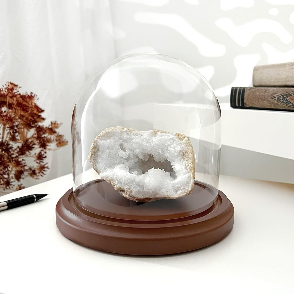 Plymor 5.5 inch x 5.5 inch Glass Display Dome Cloche (Dark Wood Base)