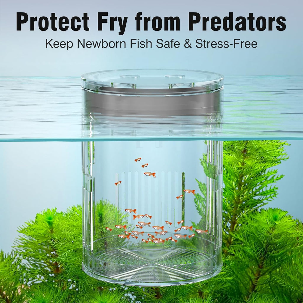 Floating Acrylic Breeder Box for Fish Tank - Aquarium Isolation Separator Hatchery Incubator for Guppy, Betta, Clownfish, Coral, Baby & Injured Fish