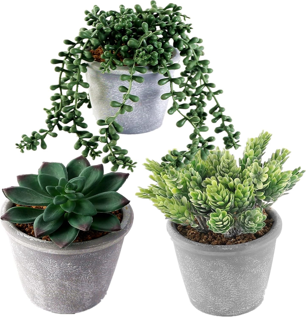 3 Pcs Artificial Succulents Potted Plants Assorted Fake Succulents Potted for Family Office Garden Interior Decor
