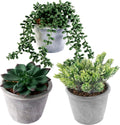 3 Pcs Artificial Succulents Potted Plants Assorted Fake Succulents Potted for Family Office Garden Interior Decor