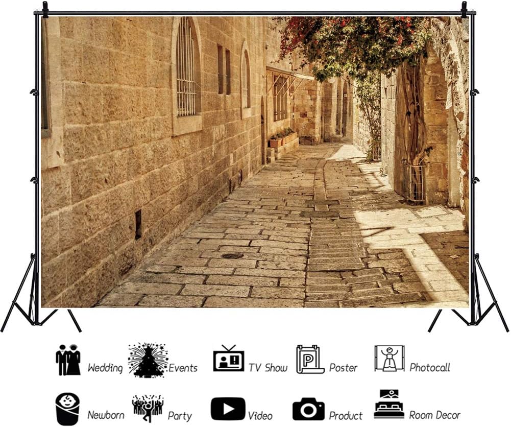 Jerusalem Street Backdrop Ancient Stone Wall Background Old Town Street Background Israel Street Backdrop Baby Shower Wedding Background Town Travel Party Background Studio Props 15x8ft