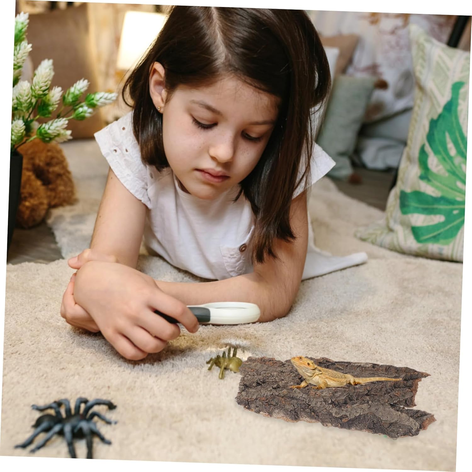 4Pcs Reptile Cork Bark Climbing Platform Natural Wood Terrarium Decor Hideouts for Snakes Lizards Small Pets Aquarium Accessories