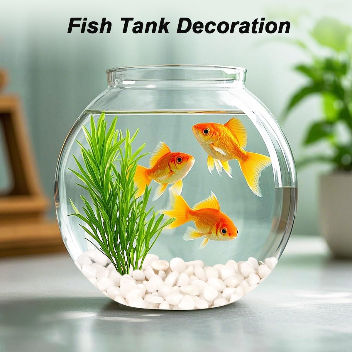 Landscaping Pebbles River Rocks Decorative Ornamental Pebbles Garden Landscaping Stones Gravel Filler for Home Decoration Flower Bed Fish Tank Plants Vases Succulents (1, White, 1 Pound)