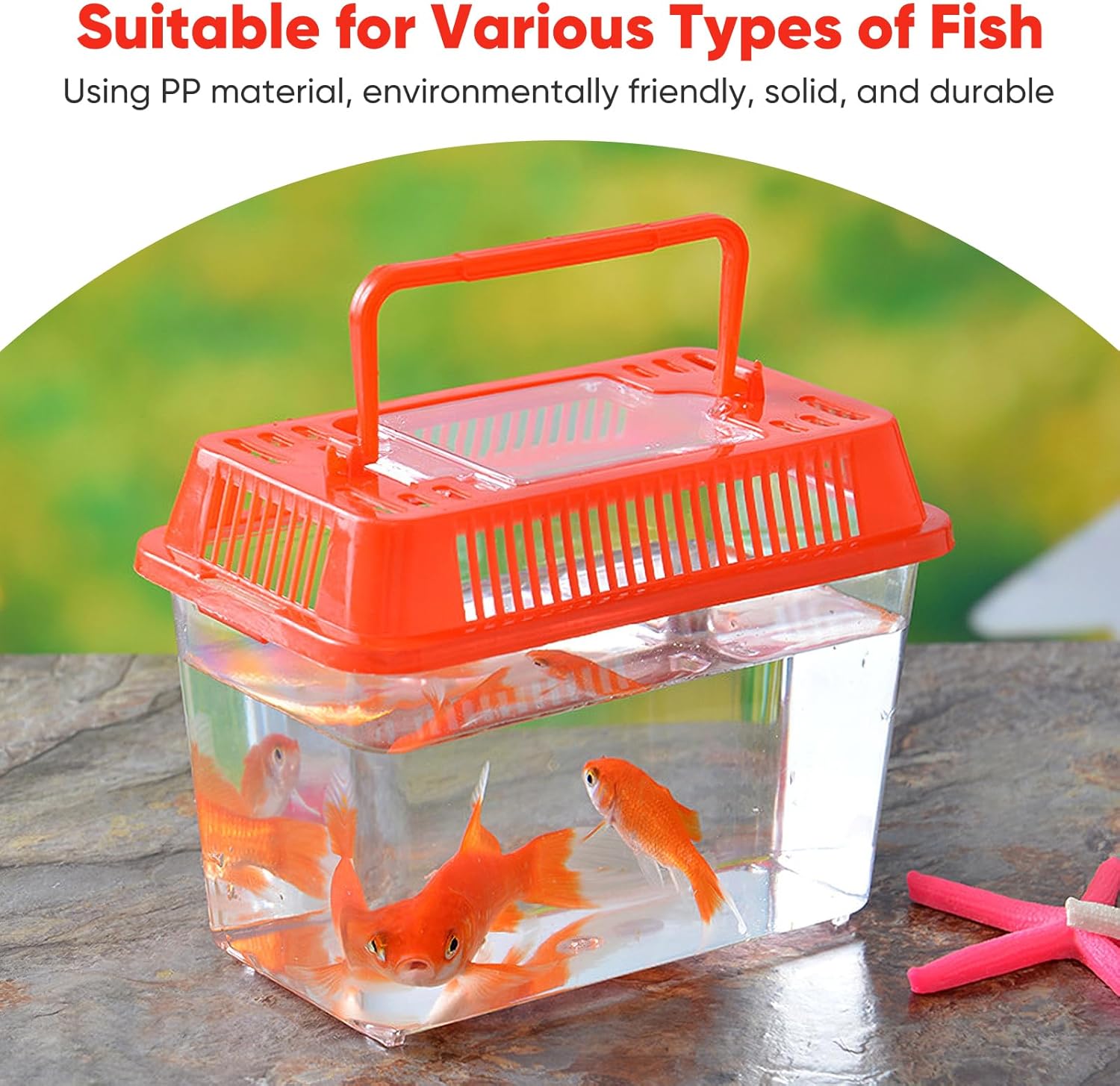 Baluue Portable Fish Tank, Handheld Fish Tank, Plastic Mini Fish Box, Transparent Cutout Design, Plastic Aquarium with Handle for Turtle and Pet Fish Lid for