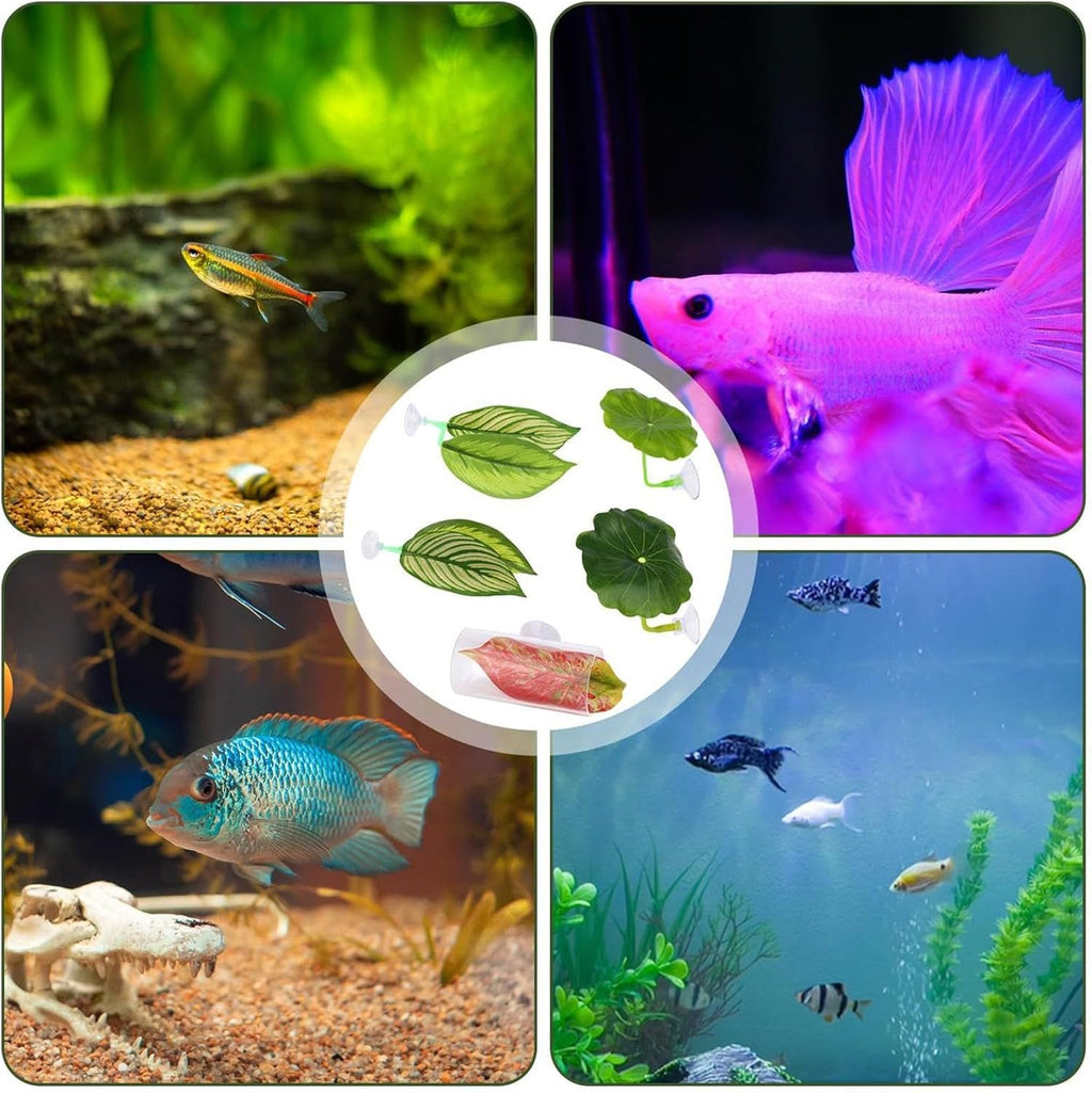 Betta Fish Hammock - Adjustable Leaf Rest Set for Aquariums Featuring Five Flexible Pads Designed for Betta Fish, Shrimp, Corydora, and Loaches to Play, Sleep, and Breed Comfortably in Home or Office