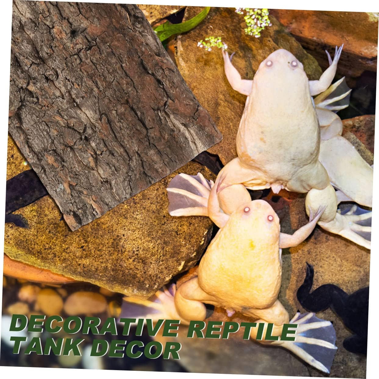 2pcs Natural Cork Bark Terrarium Decor for Reptile Tanks Lifelike Landscape Accents for Snakes Lizards More Enhances Aquatic Environments
