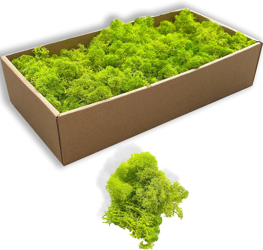 Preserved 5oz Moss Artificial Moss Natural Fresh Green Moss for Craft Handicraft Arts Floral Project Wall Decor Table Decor Wedding Centerpieces Garden Terrariums Decoration
