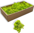 Preserved 5oz Moss Artificial Moss Natural Fresh Green Moss for Craft Handicraft Arts Floral Project Wall Decor Table Decor Wedding Centerpieces Garden Terrariums Decoration