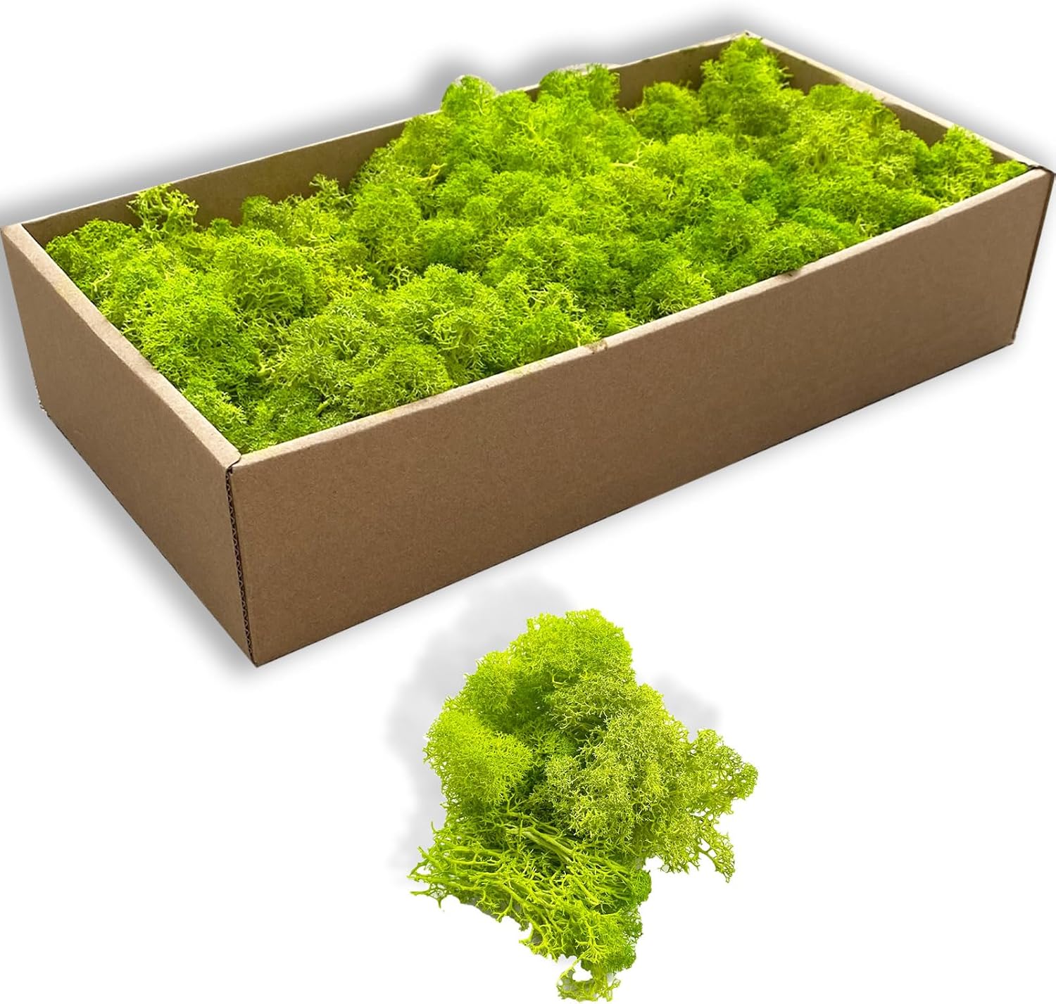 Preserved 5oz Moss Artificial Moss Natural Fresh Green Moss for Craft Handicraft Arts Floral Project Wall Decor Table Decor Wedding Centerpieces Garden Terrariums Decoration