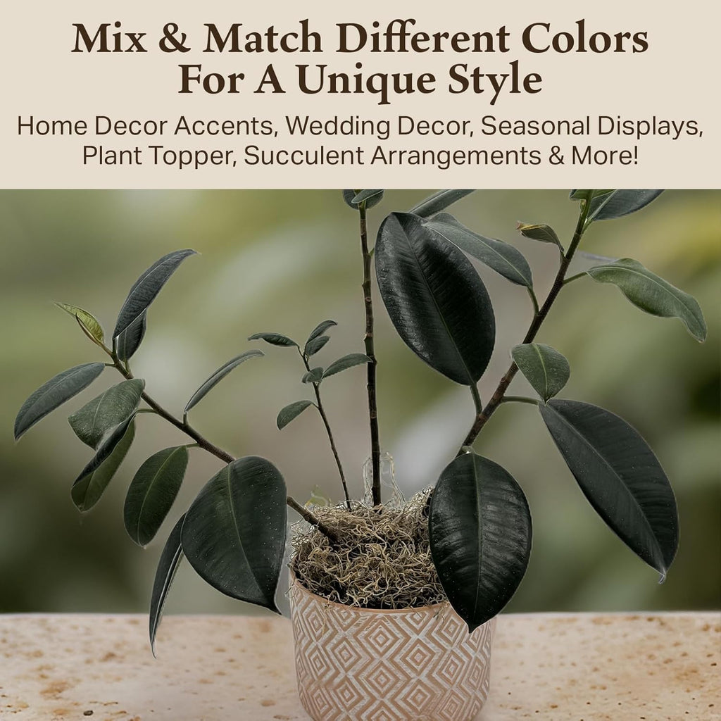Preserved Spanish Moss - Premium Decorative Moss for Crafts, Home Décor, Art, Design & DIY Projects - Real Moss - Non-Toxic, USA-Made (Natural, Medium, 2-Pack)