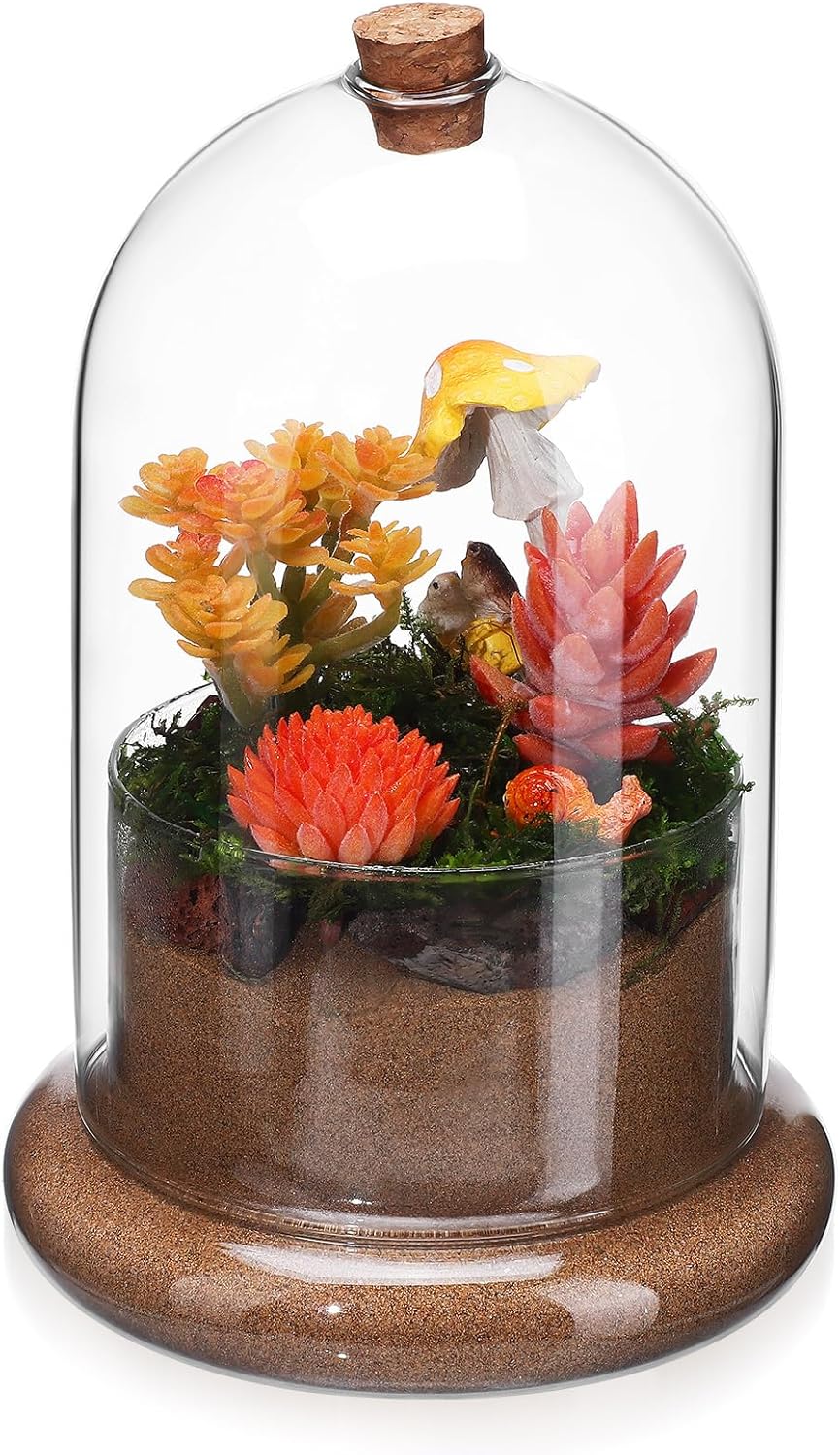 Baluue Glass Terrarium Clear Dome with Air Hole, 8.26 X 5.51 Inches, Plant Terrarium for Home and Office Decor, Transparent Glass Cloche for Moss and Fern