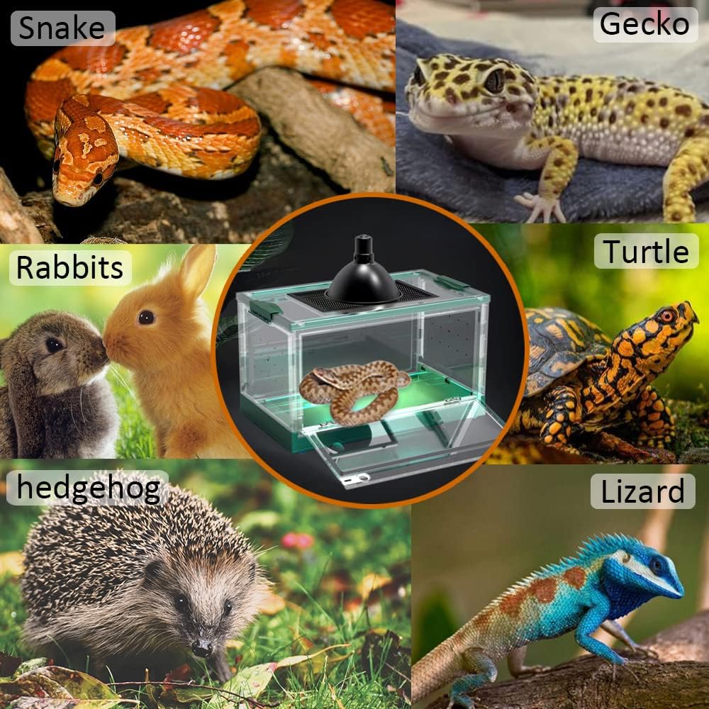 Large Snake Reptile Tank Amphibians Habitat Cages Sliding Screen Top for Lizard,Gecko, Frog, Hamster Animals(21.65"x12.6"x12.2") (Grey Blue)…