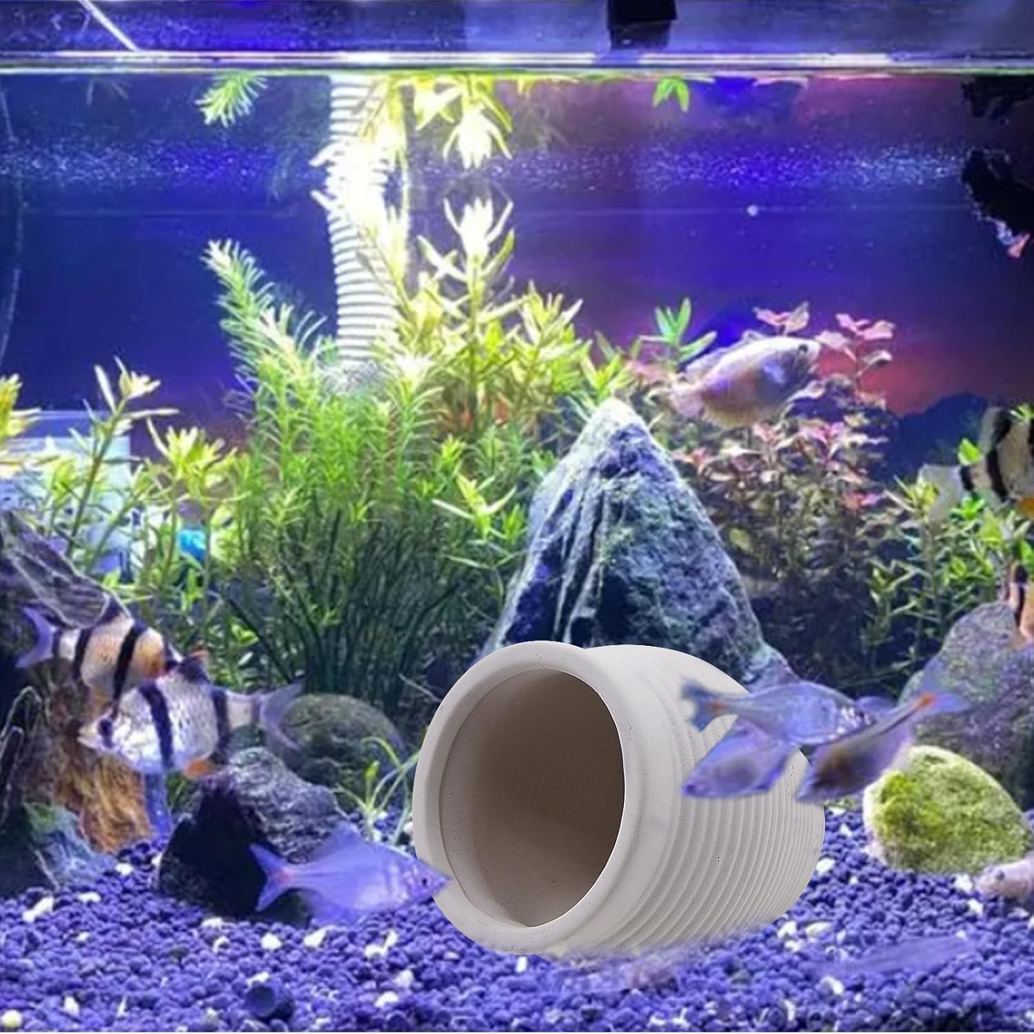 AnRui Ceramic Jar Betta Fish Tank Decor Clay Pot Aquarium Accessories Hideout Cave Decorations Ornaments for Small Fish, Shrimp, Cichlid to Play Hide Breed, Small White